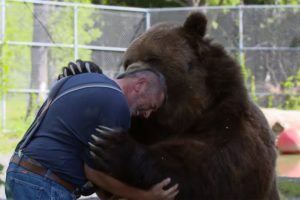 Animals Reunited With Their Owners After Years!