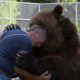 Animals Reunited With Their Owners After Years!