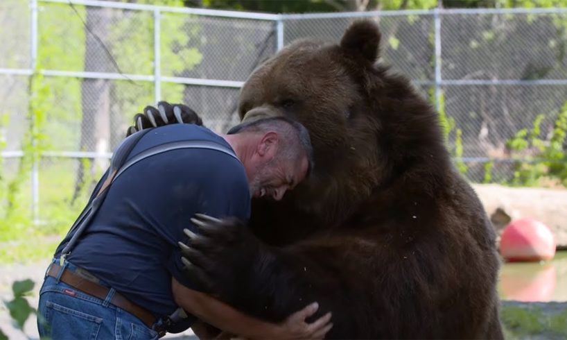 Animals Reunited With Their Owners After Years!