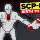 BIRTH to DEATH of SCP-096 (Compilation)