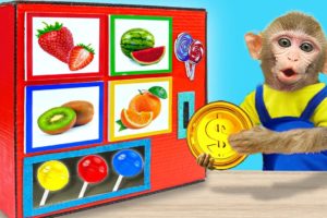 Baby Monkey KiKi playing with Colorful Lollipop Candy from Vending Machine | KUDO ANIMAL KIKI