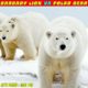 Barbary Lion 🦁 Vs Polar Bear 🐻 | Dangerous Animals Fights ⚠️ | #bestfacts #factsdaily #shorts