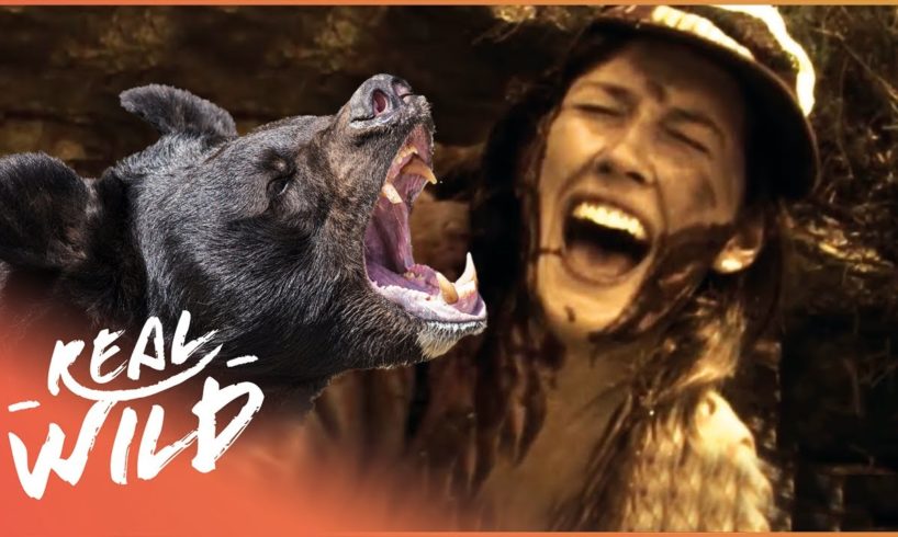 Bears & Wolves Attack People In The Wild | Human Prey Part 2 | Real Wild