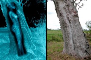 Bizarre & Mysterious Discoveries