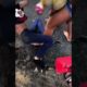 CHICAGO HOOD FIGHTS