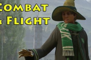 Combat & Flight Are Awesome - Hogwarts Legacy