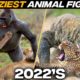 Craziest Animals Fights