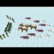 Crazy Animal Fights - Animal Revolt Battle Simulator