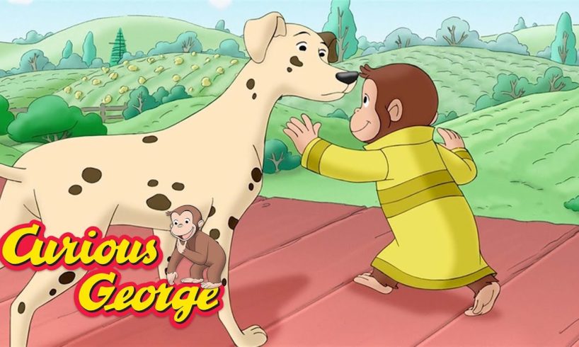 Curious George 🐵 George rescues a dog! 🐵 Kids Cartoon 🐵 Kids Movies 🐵 Videos for Kids