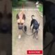 Cute Dogs Brothers Love ❣️ ❣️❣️🐶🐶🐶😍😍😍 Cute Animals Videos