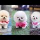 Cute Puppies Pomeranian | Very cutest #puppies | #4
