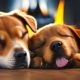 Cutest Puppies Sleeping | Puppy Lullabies