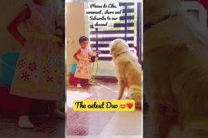 Cutest Puppy Video Ever? #GoldenRetriever Surprises with a Third Cutie! #YTSHORTS #Shorts