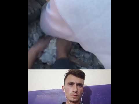 Dog rescue/Dog rescue stuck in metal_#shorts_#rescue