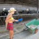 Farm #WithMe Animal Rescue 2021 BABY CALF BORN Incredible Cow Milking Smart Farming Hoof Trimming