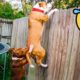 Funniest Animals 2022 🤣 - Funny Dogs And Cats Videos 🐶😺