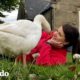 Ganso piensa que la mujer es su esposa | Almas Gemelas | El Dodo