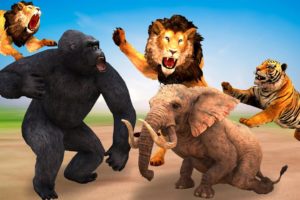 Giant Gorilla vs Zombie Lion, Tiger Animal Fight | Funny Gorilla Rescue Woolly Elephant From Tiger