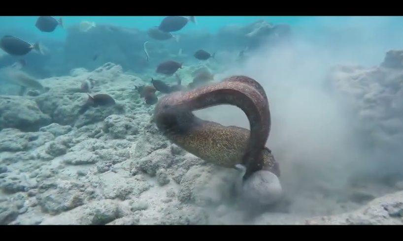 Heartstopping Near Death Exp caught on Gopro v6