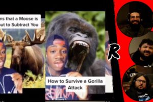 How to Survive Any Animal Attack (Mndiaye_97 Compilations) Original - RENEGADES REACT