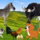 Interesting animals around us: Horse, dog, cow, cat, chicken,...