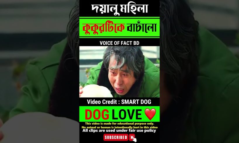 Kind-Hearted Woman Rescues Injured Pup and Receives a Heartwarming Promise😭#animalrescue #puppylove