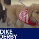 Lake Minnetonka Klondike Dog Derby hosting cutest puppy contest