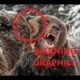 MOST SAVAGE (UNSEEN) WILD ANIMAL FIGHTS EVER CAUGHT ON CAMERA?!?!