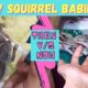 MY BABY SQUIRRELS|INDIAN PALM SQUIRREL|RESCUED ANIMAL VIDEOS|CUTE ANIMALS