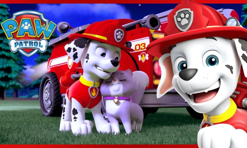 Marshall's Animal Rescue Moments and More! | PAW Patrol | Cartoons for Kids