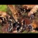 Merciless Battles Between Animals | Most Dengerous Animal Fights |#animals #lion