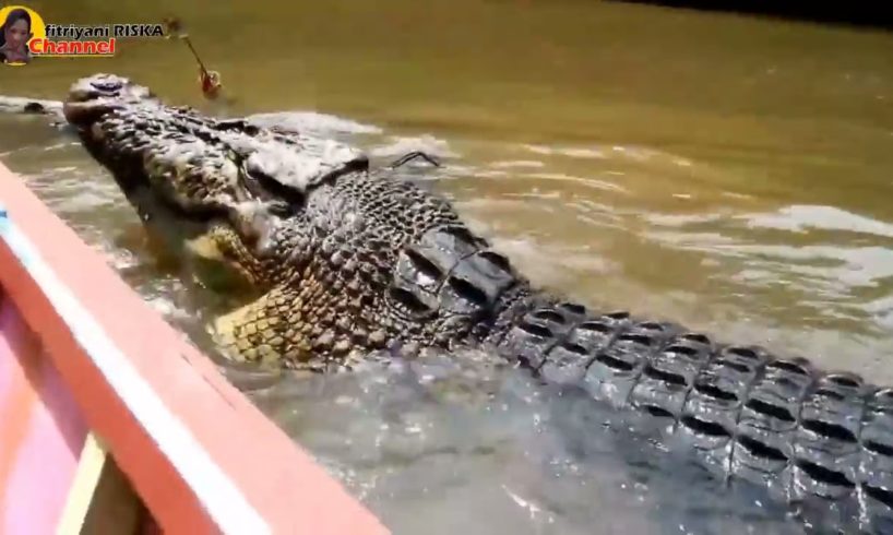 NEAR DEATH CAUGHT by GoPro and camera #7