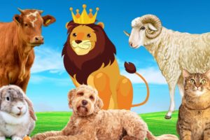 Name animals - Cow, sheep, rabbit, lion, goat - Animal paradise