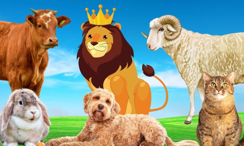 Name animals - Cow, sheep, rabbit, lion, goat - Animal paradise