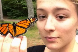 Niña encuentra a una mariposa monarca atrapada en el faro de su auto | Corazones Salvajes | El Dodo