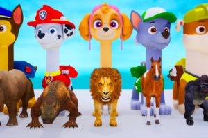 Paw Patrol Ultimate Rescue Challenges Animal - Mighty Pups On A Roll Nick Jr. HD