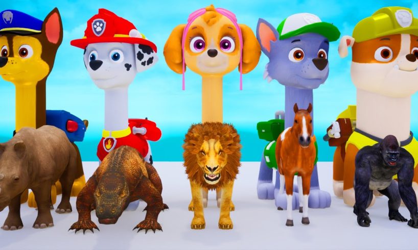 Paw Patrol Ultimate Rescue Challenges Animal - Mighty Pups On A Roll Nick Jr. HD