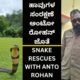 SNAKE RESCUE #83 (SNAKE RESCUES WITH ANTO ROHAN)