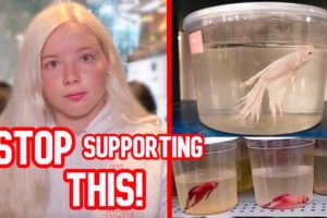 STOP Rescuing Fish from Chain Pet Stores