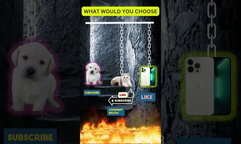 TERRIBLE CHOICE | What Would You Choose Cutest Puppy or Kitten or Newest iPhone #shorts