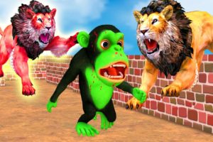 Temple Run Funny Monkey Run Away From Zombie Lions | Giant Bulls vs 3 Zombie Lions Animal Fight