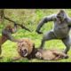 The Most Incredible Wild Animal Fights Caught On Camera 2023 | Wild Adventures | #WildAdventures#180