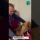 This dog was chained for 19 years but now he is free - Takis Shelter #dogrescue #dog #shorts
