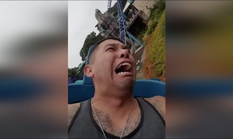 Try not to laugh/Funny Video/Funny Fails of the Week #funnyvideo #trynottolaugh