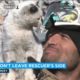 Turkish firefighter rescues cat trapped in rubble; adopts it after animal refused to leave his side