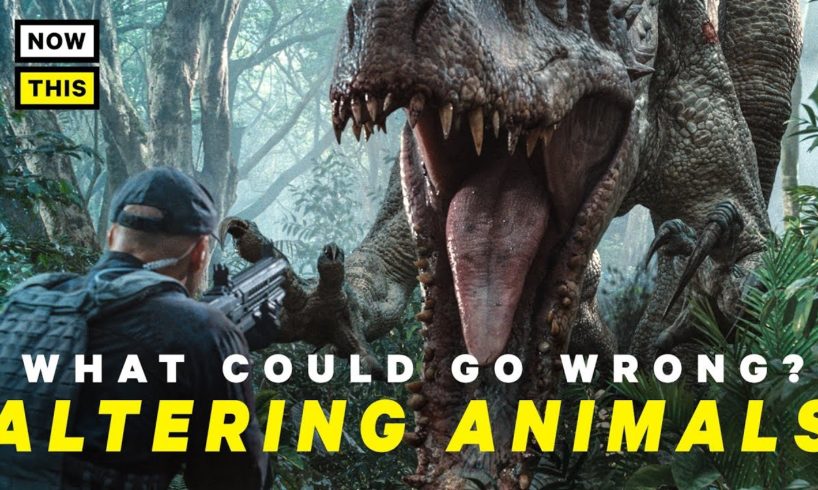 What Could Go Wrong With Altering Animals? | NowThis Nerd