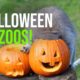 Zoo Animals Playing with Pumpkins Vol. 2 (Halloween 2022)