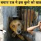 animal rescue videos in hindi | Part 1|