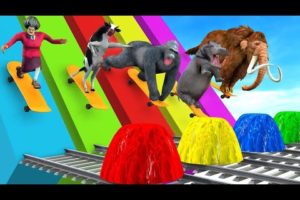 fountain animals wild crossing elephant tiger horse🦁lion Gorilla full animals funtions video cartoon