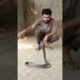 snake attack on me | #shorts #short #youtubeshorts #animals #cobra #kingcobra #cobra #snake #reptile